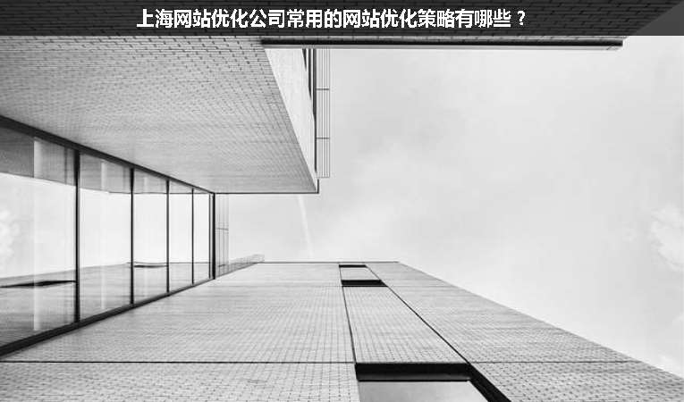 上海網站優化公司常用的網站優化策略有哪些？