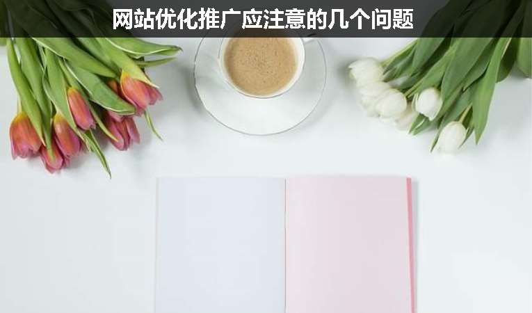 網(wǎng)站優(yōu)化推廣應(yīng)注意的幾個(gè)問題